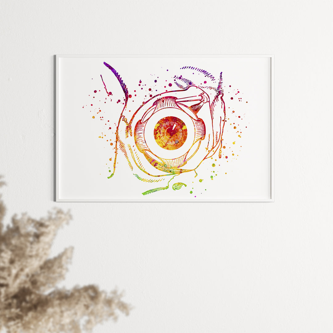 Vibrant watercolor illustration of the human eyeball, perfect for clinics and educational spaces