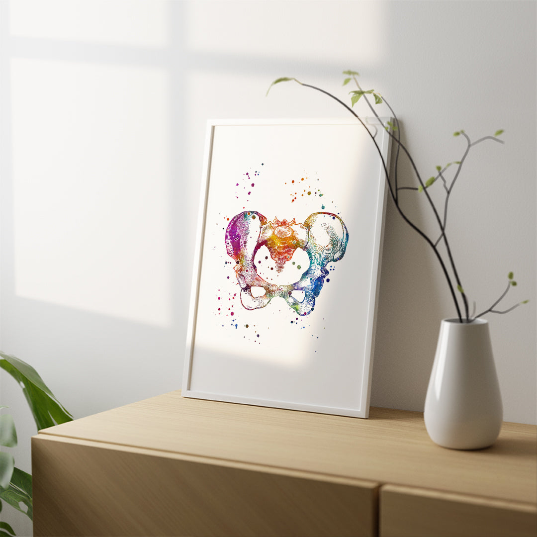 Female Pelvis Anatomy Art Watercolor Print