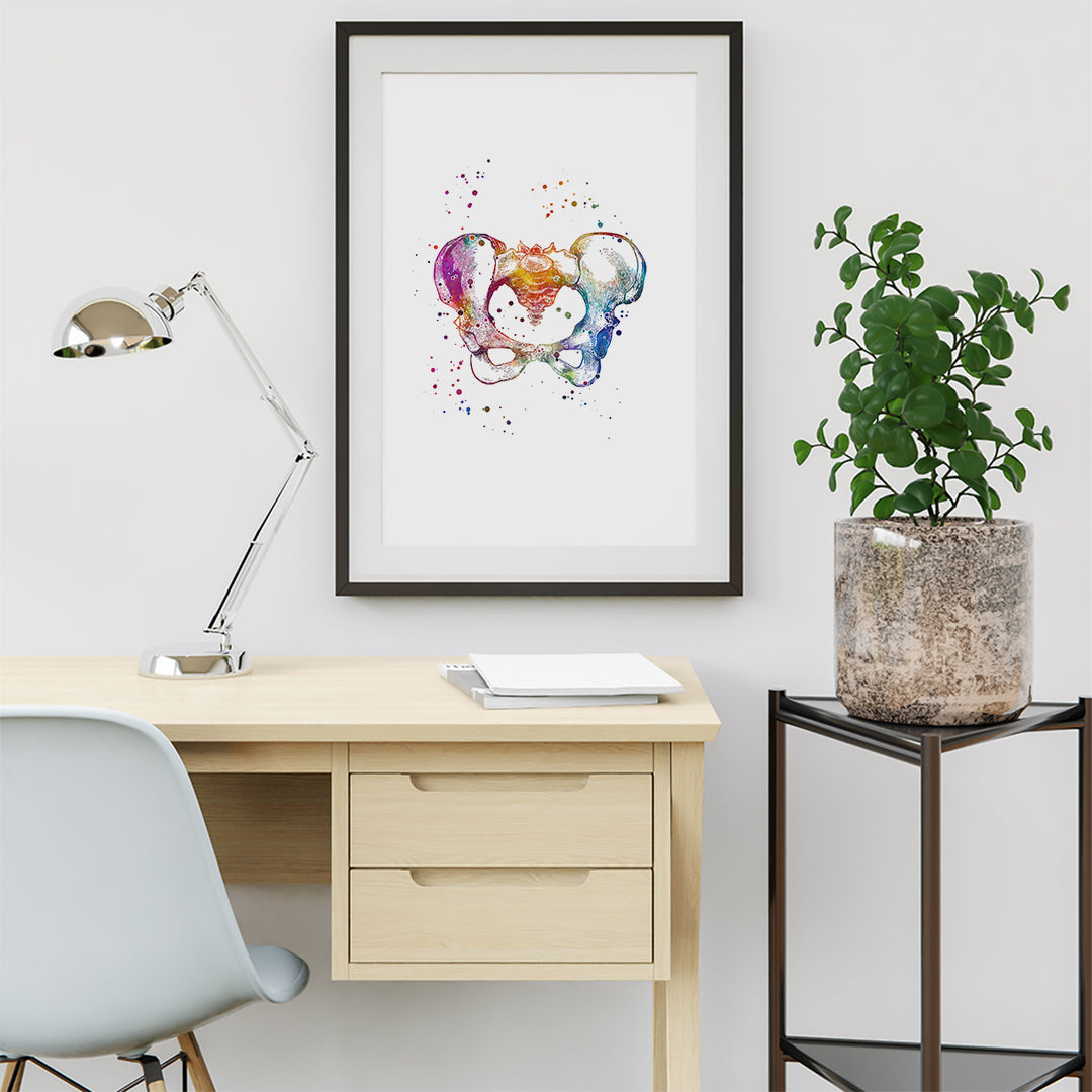 Female Pelvis Anatomy Art Watercolor Print