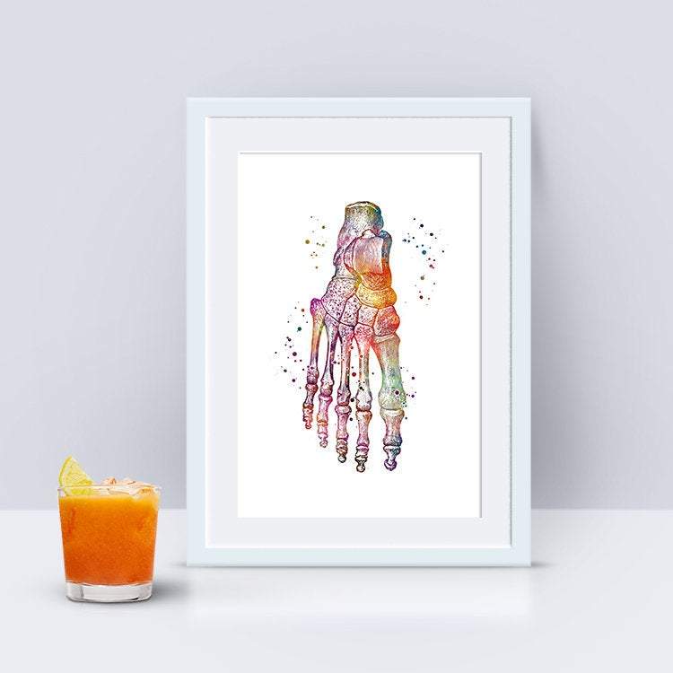 Foot Anatomy Art – Watercolor Print for Podiatry & Clinics
