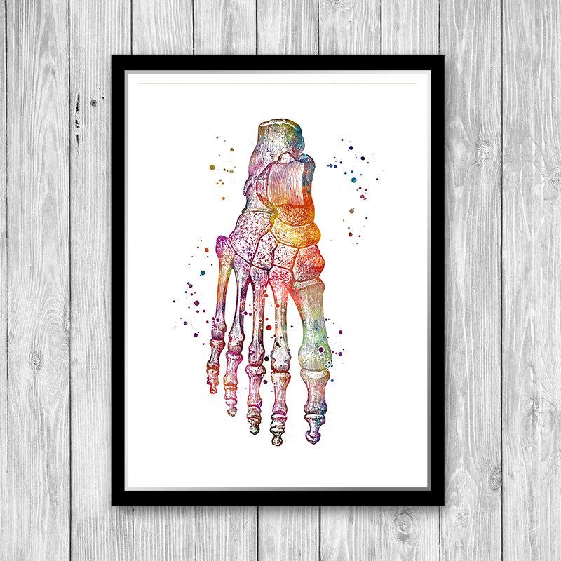 Foot Anatomy Art – Watercolor Print for Podiatry & Clinics