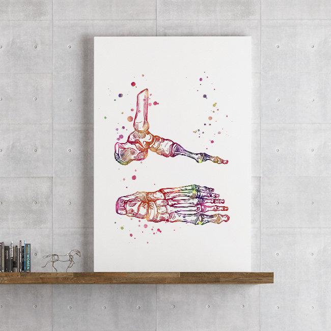 Foot and Ankle Watercolor Art Print