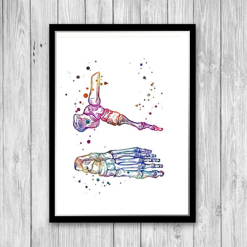Foot and Ankle Bones Multicolored Anatomy Art Print