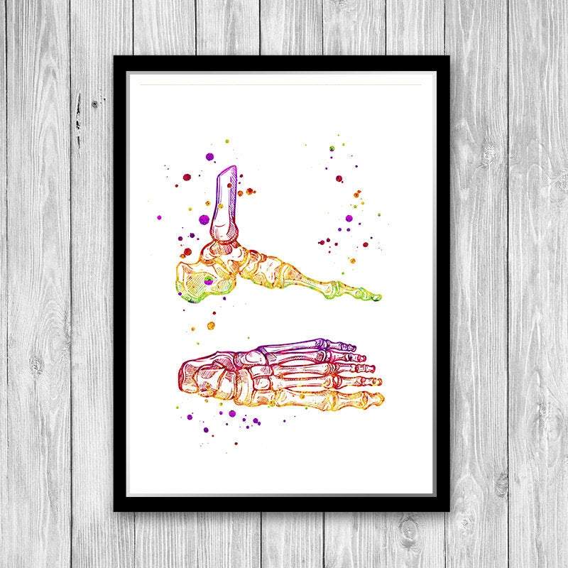 Watercolor Foot and Ankle Anatomy Art Print