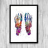 Multicolored watercolor anatomy art print - Foot bones