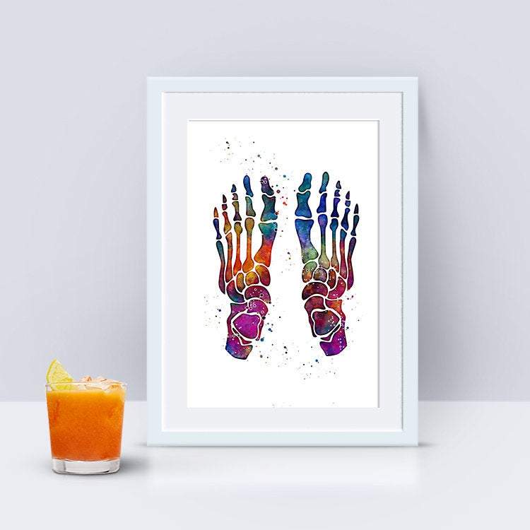 Multicolored watercolor anatomy art print - Foot bones