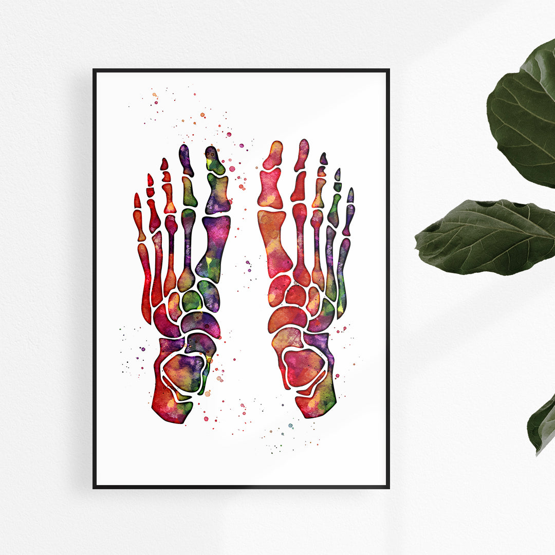 Human Foot Bones Watercolor Print Anatomy Art