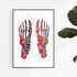 Human Foot Bones Watercolor Print Anatomy Art