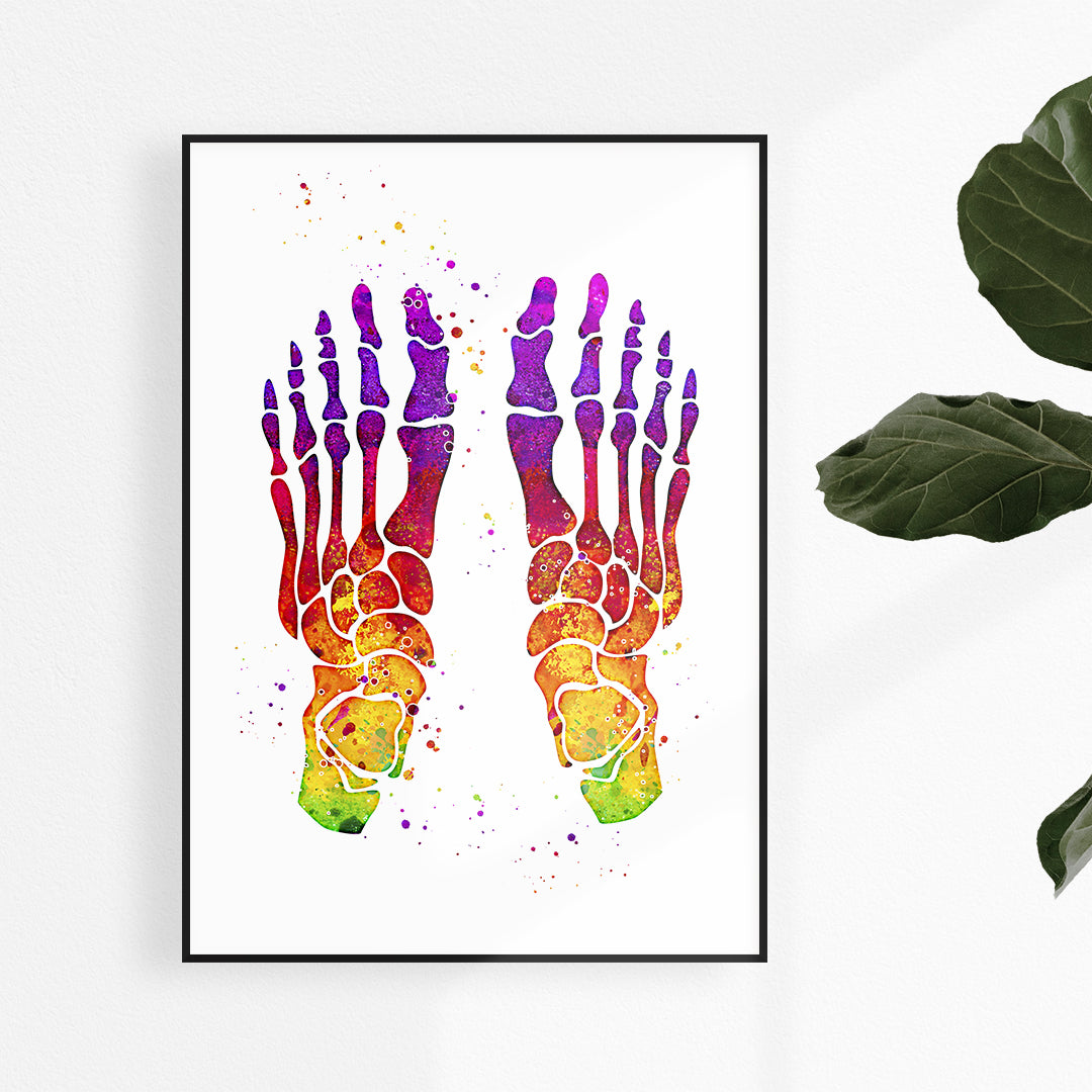 Colorful Print foot anatomy