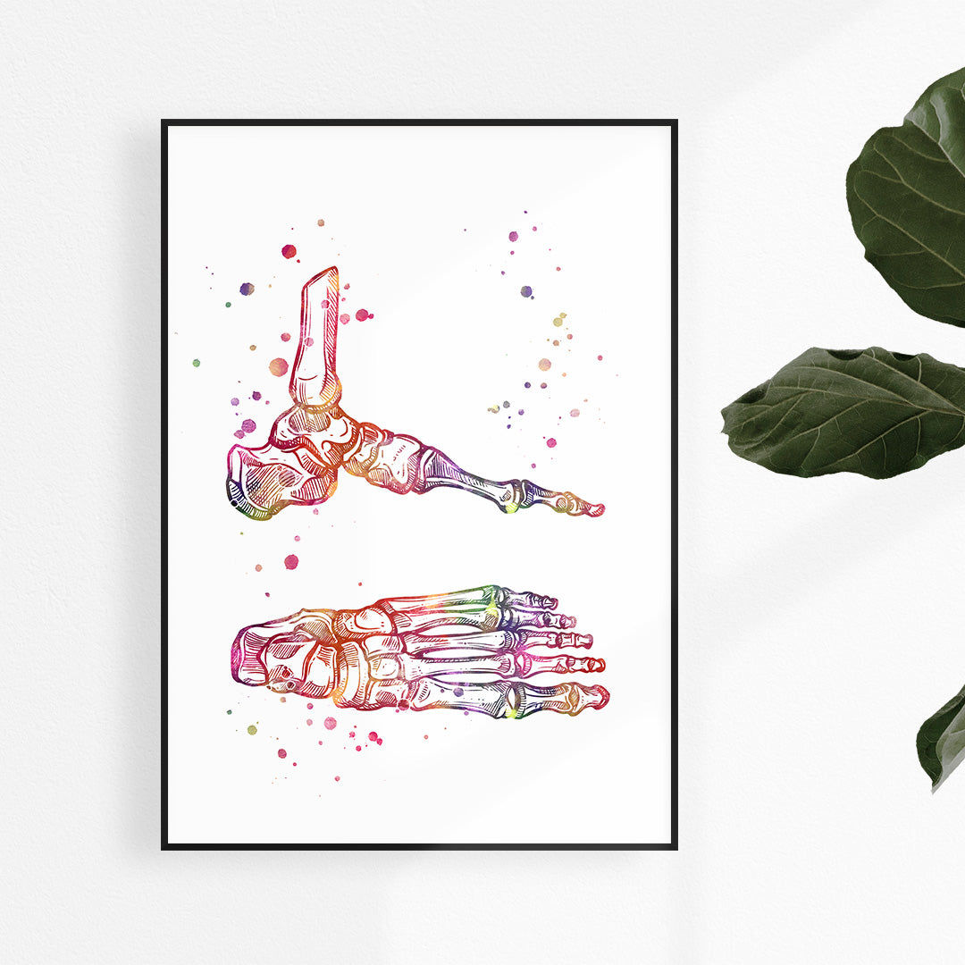 Foot and Ankle Watercolor Art Print