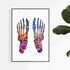 Multicolored watercolor anatomy art print - Foot bones
