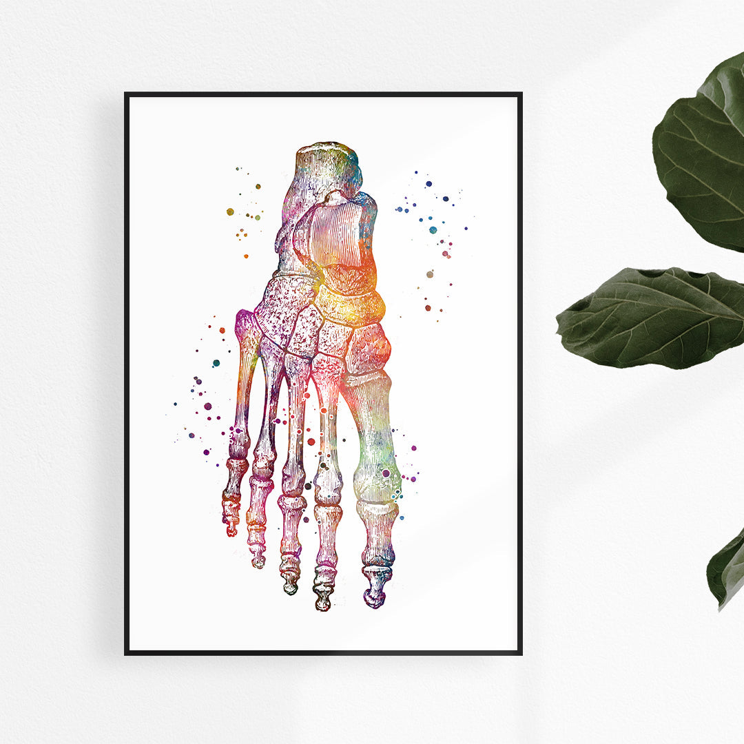 Foot Anatomy Art – Watercolor Print for Podiatry & Clinics