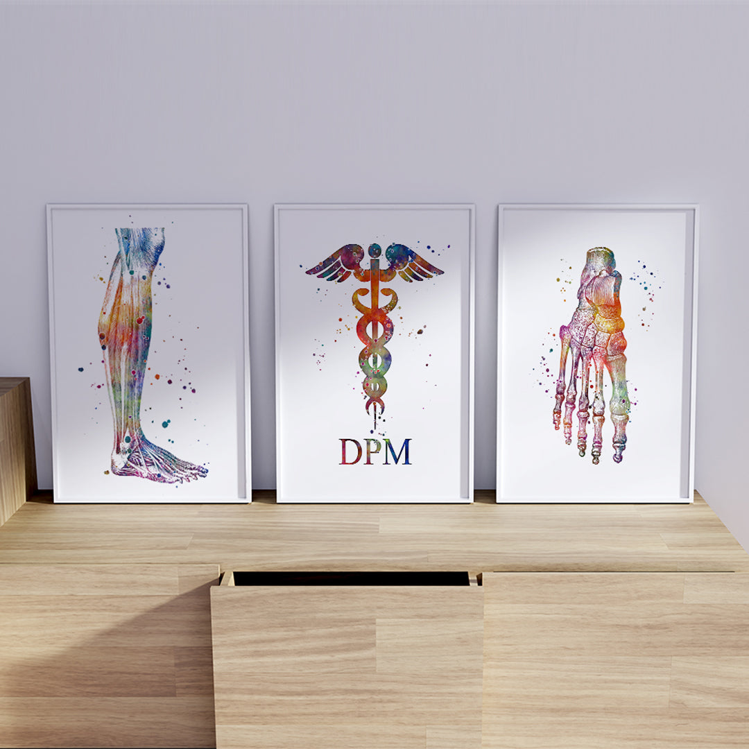 Vibrant podology art prints for podiatrist office wall decor.