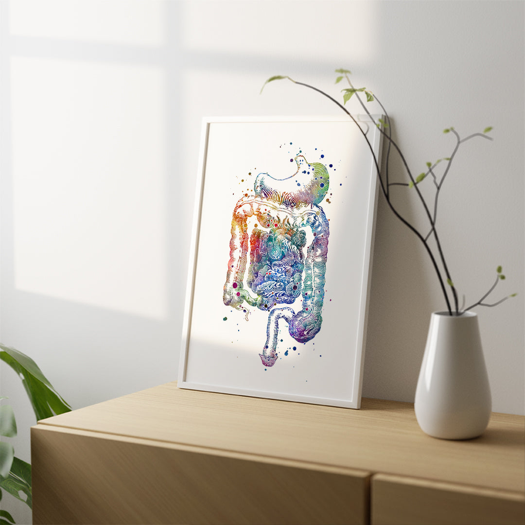 Digestive System Poster, Internal Organs Anatomical Print