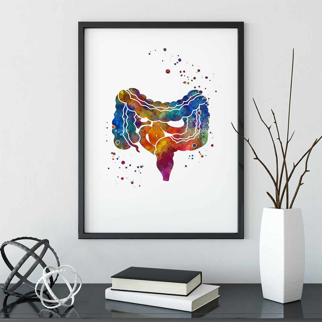 Large and Small Intestine Gi Tract Watercolor Art Print