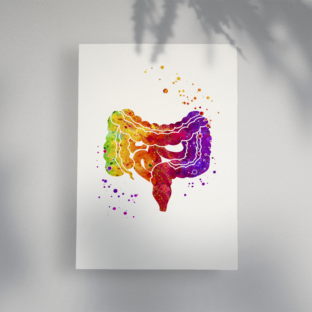 Lower Gastrointestinal GI Tract Watercolor Art Print