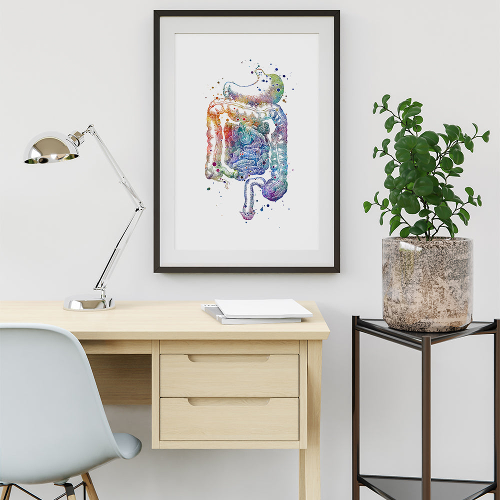 Digestive System Poster, Internal Organs Anatomical Print