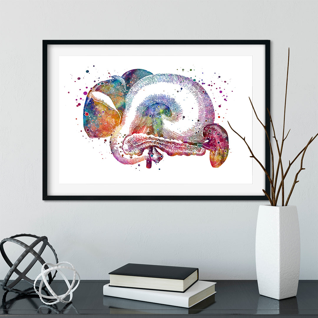 Human anatomy art print for Internal Medicine clinic wall art decoration