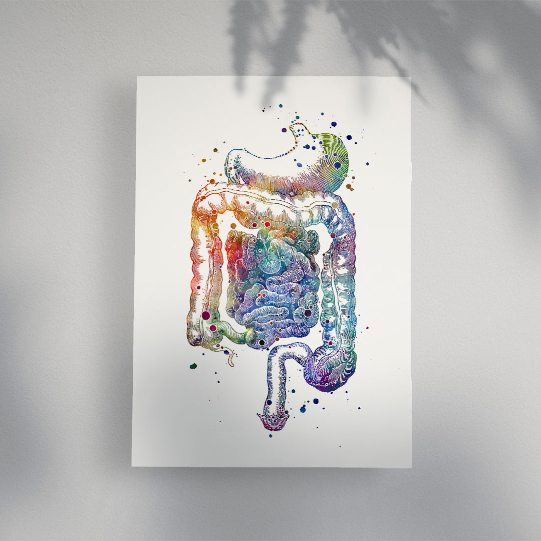 This Digestive System watercolor art print is a perfect blend of education and artistry, showcasing the internal organs in beautiful detail. 