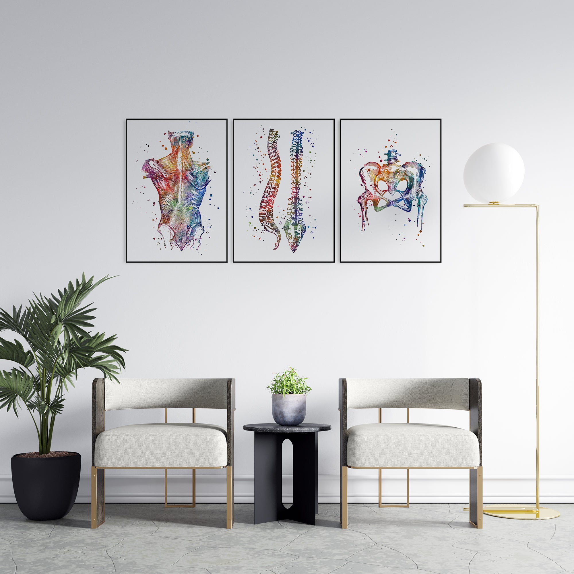 Chiropractic Art Set of 3 Anatomical Prints