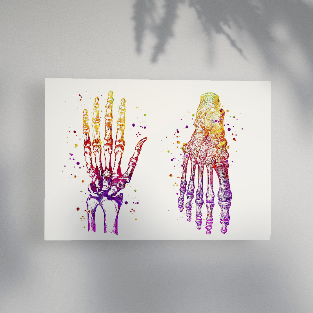 Human Hand and Foot Bones Watercolor Art Print