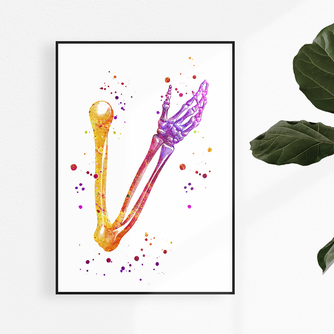 Hand Skeletal System Anatomy Art Watercolor Print
