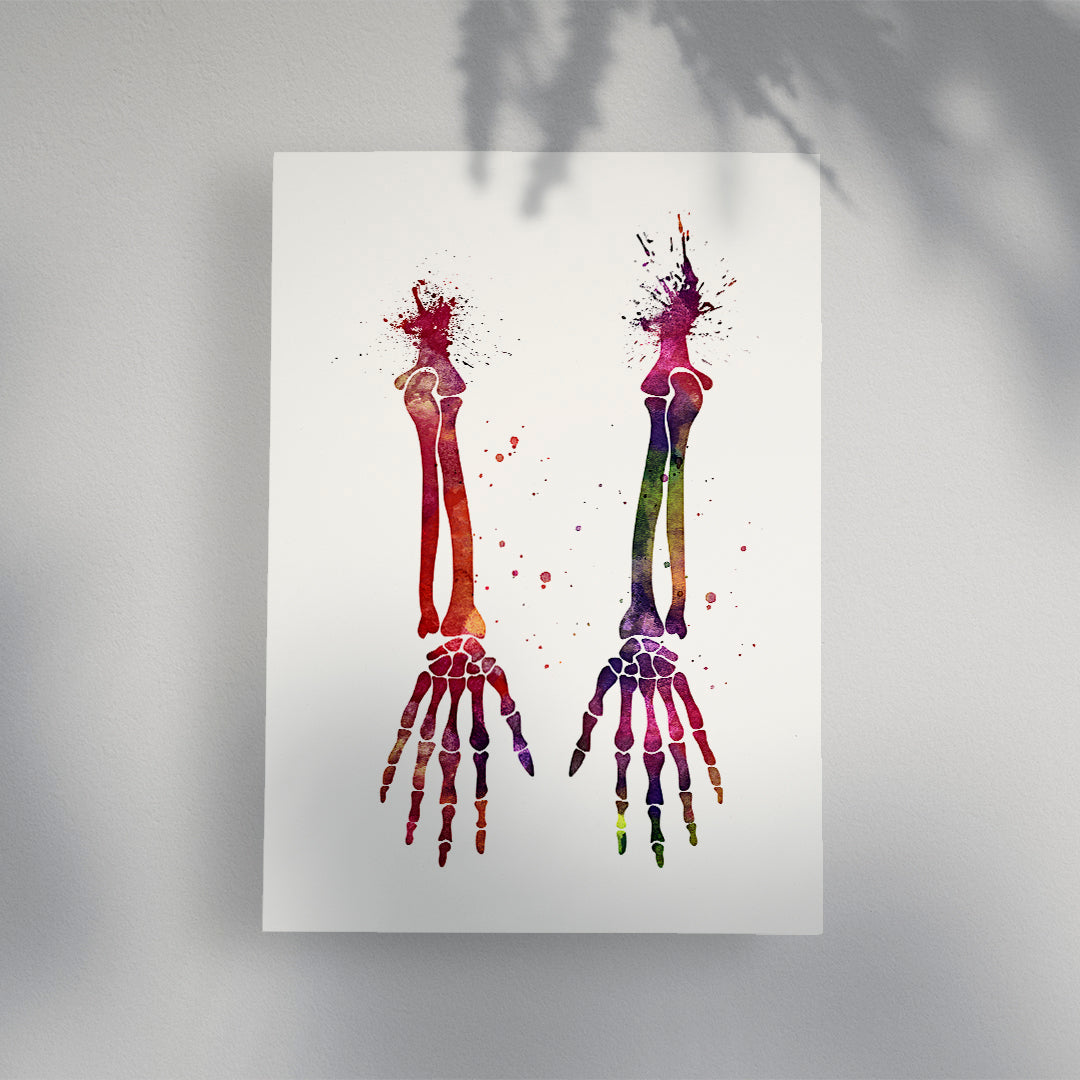 Anatomy Art Watercolor Print, Human Hands Bones