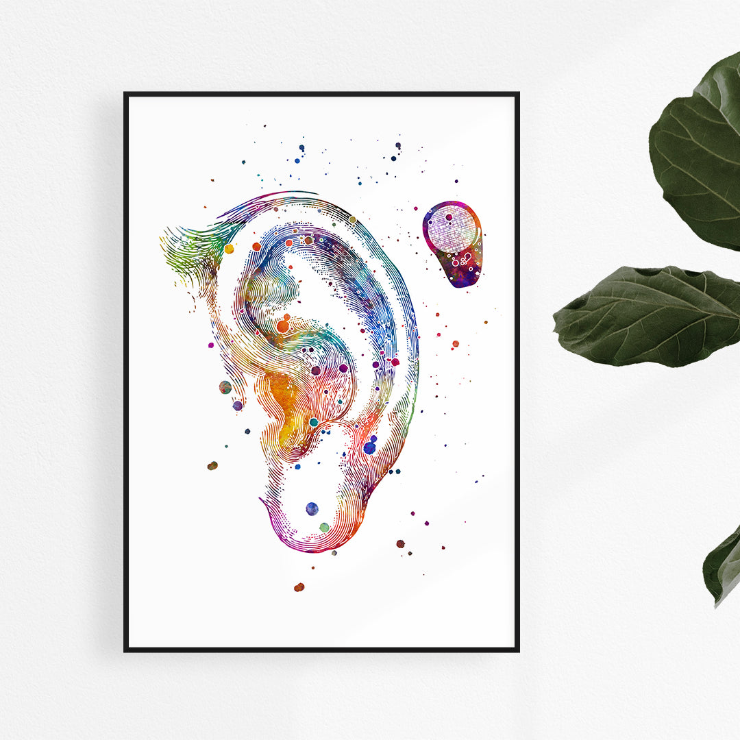 Bone Anchored Hearing Aid BAHA Watercolor Art Print