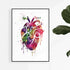 Watercolor Art Print Human Heart