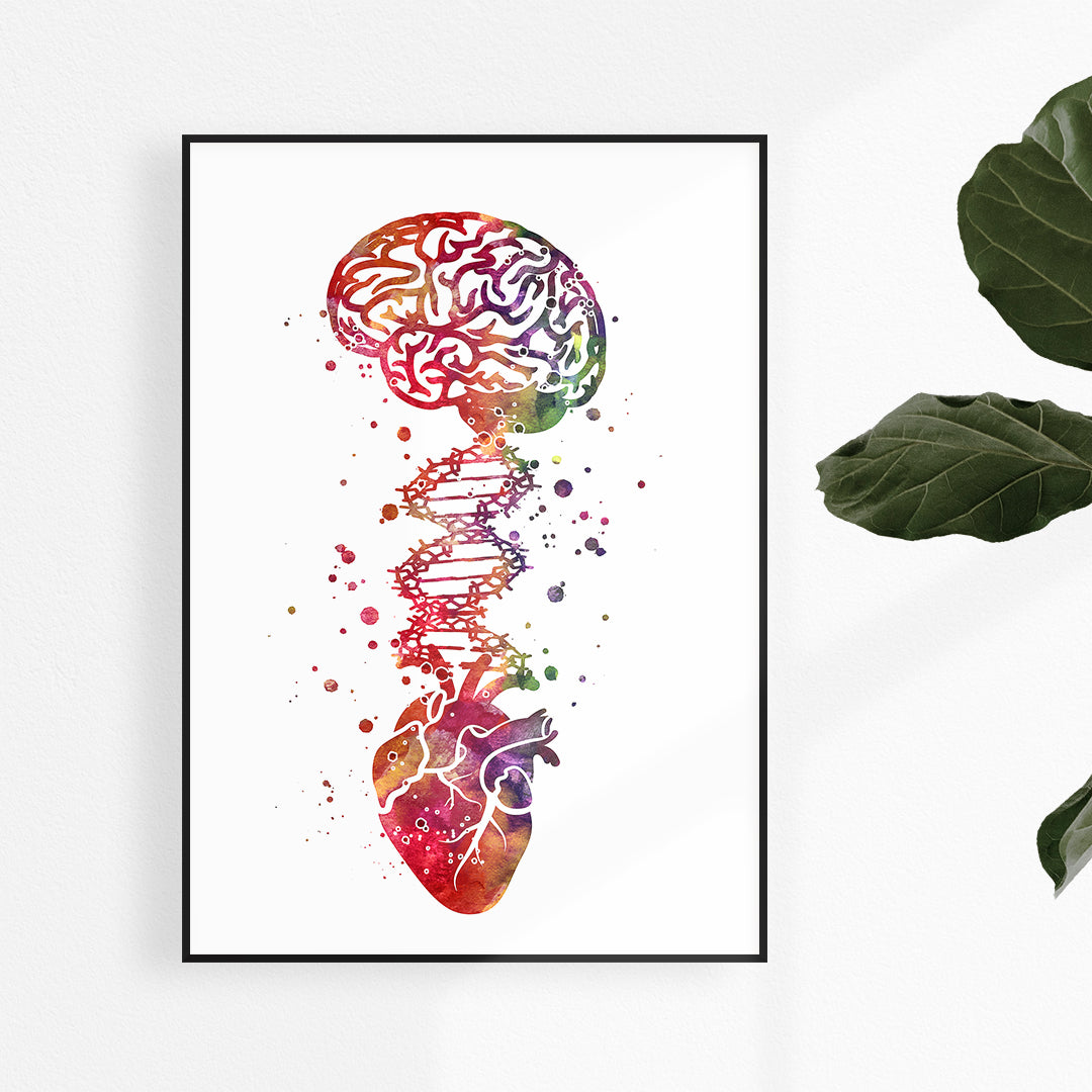 Medical Art - Brain, Heart and DNA, Vibrant Watercolor Print