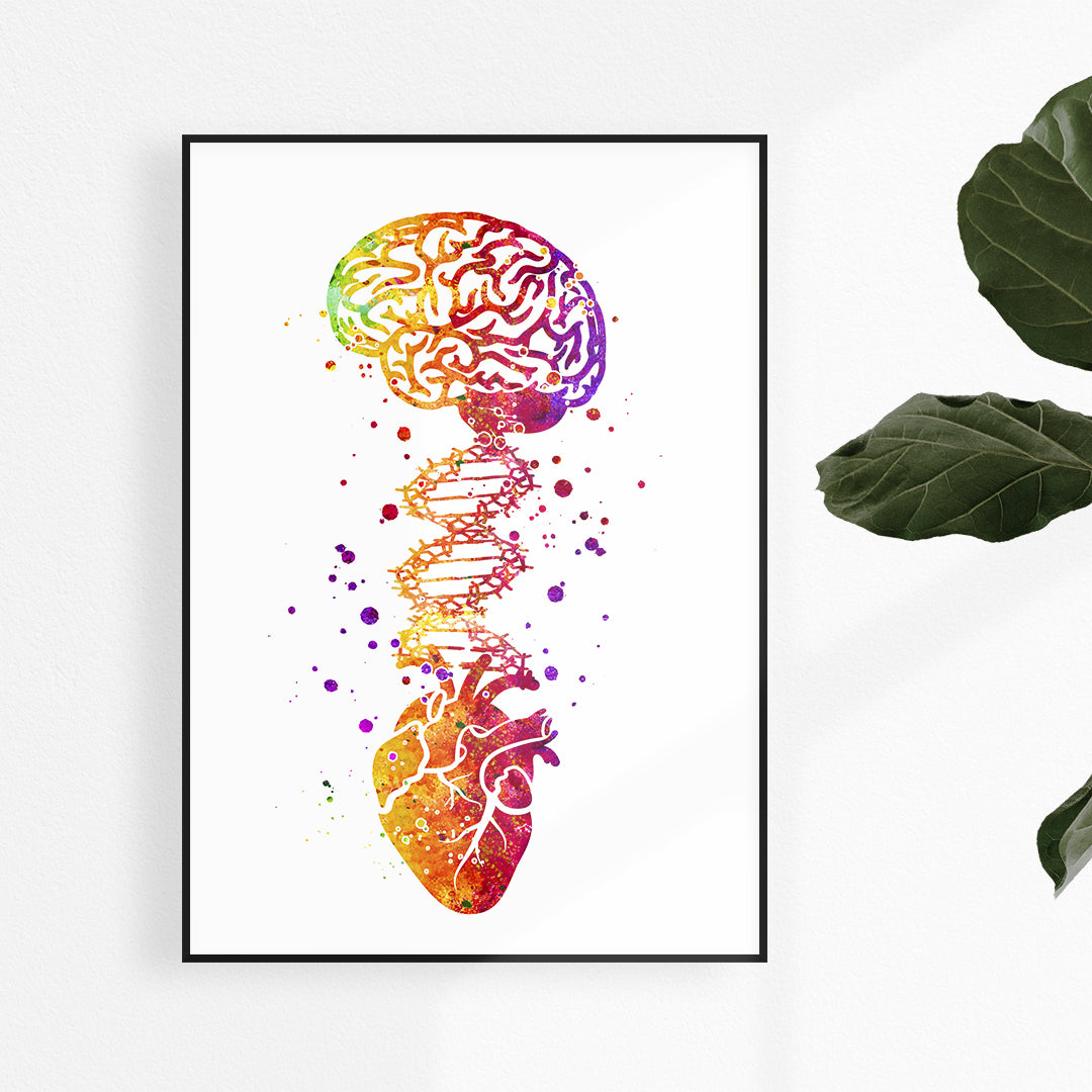 Watercolor heart and brain connected by DNA molecule, in shades of yellow, orange, and red, printed on premium textured art paper.