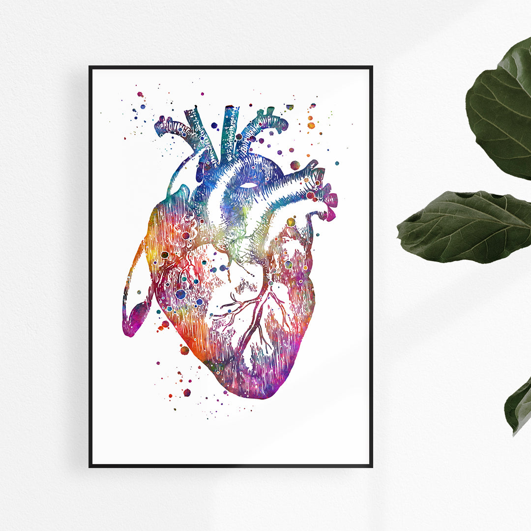 Detailed Anatomical Heart Watercolor Print, perfect for doctor office decor, cardiologist gifts, or medical student wall art.