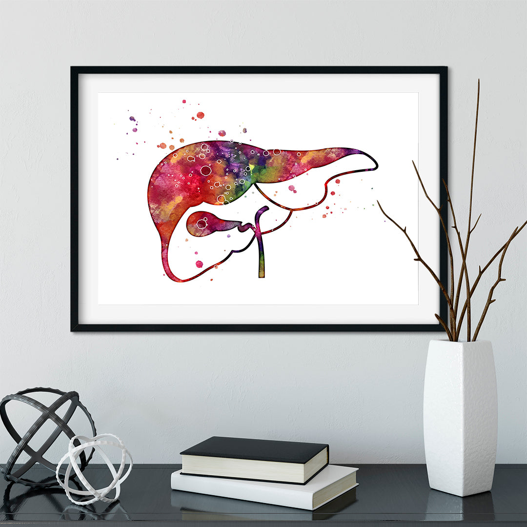 Liver watercolor art printfor hepatologist office wall art decor