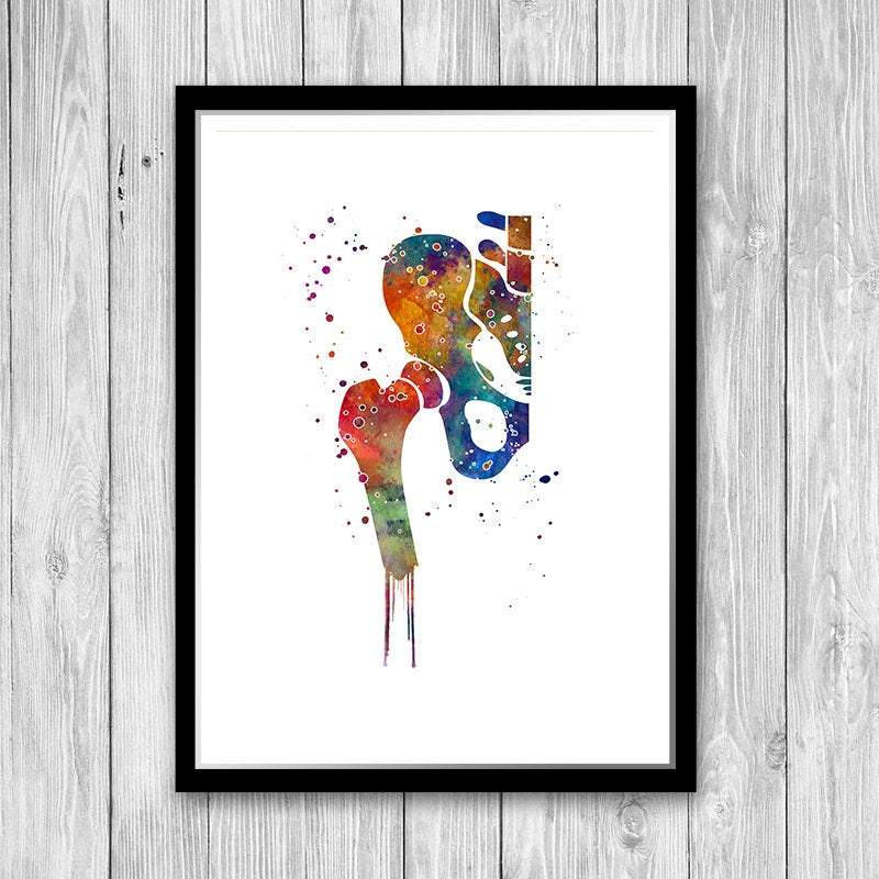 Hip Joint Pelvis and Femur Anatomy Watercolor Art Print
