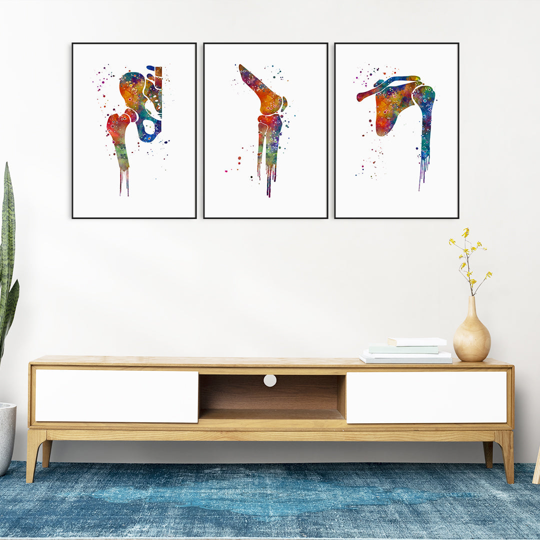 Hip Joint Knee and Shoulder Watercolor Prints Set of 3