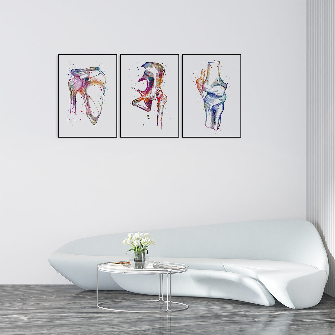 Detailed hip, knee, and shoulder joint anatomy watercolor prints, perfect for orthopedic and physiotherapy wall decor.