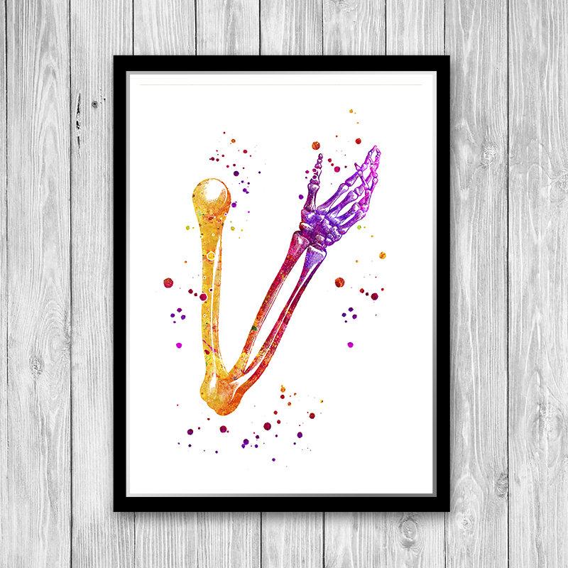 Hand Skeletal System Anatomy Art Watercolor Print