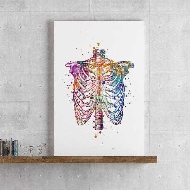 Human Chest Skeleton Rib Cage Anatomy Watercolor Art Print