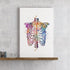 Human Chest Skeleton Rib Cage Anatomy Watercolor Art Print