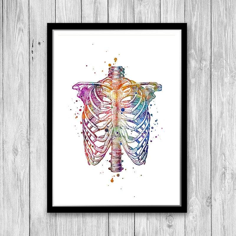 Human Chest Skeleton Rib Cage Anatomy Watercolor Art Print