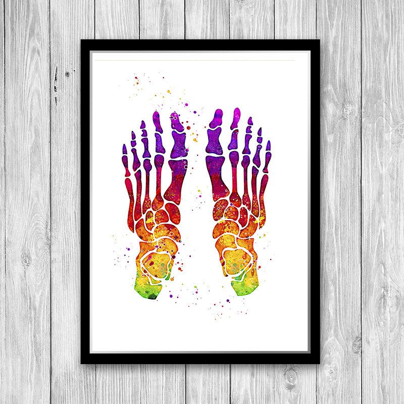 Colorful Watercolor Print - Human Foot Bones