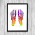 Colorful Watercolor Print - Human Foot Bones