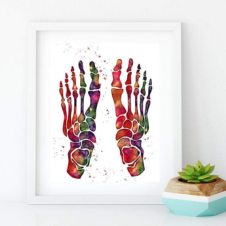 Human Foot Bones Watercolor Print Anatomy Art