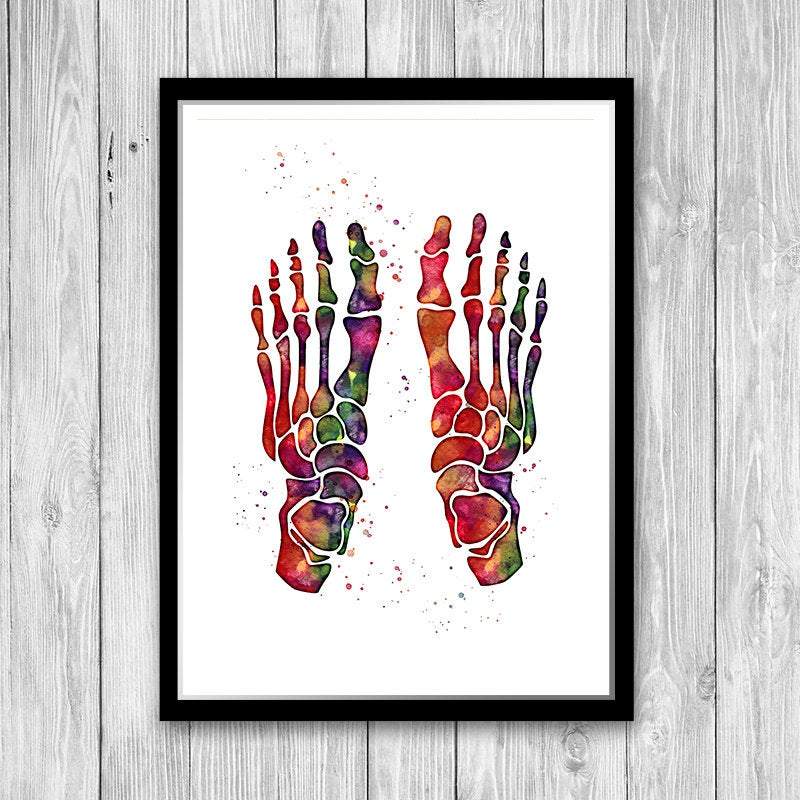 Human Foot Bones Watercolor Print Anatomy Art