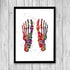 Human Foot Bones Watercolor Print Anatomy Art