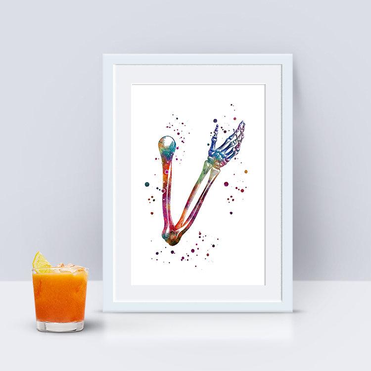Human Hand Bones Anatomy Watercolor Art Print