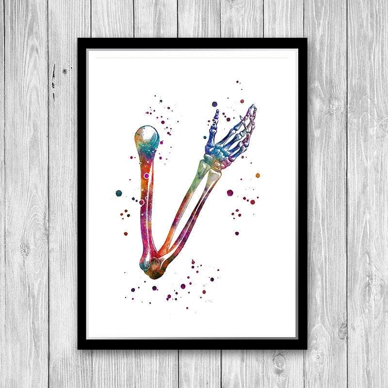 Human Hand Bones Anatomy Watercolor Art Print