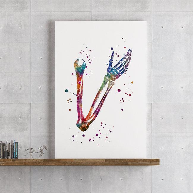 Human Hand Bones Anatomy Watercolor Art Print