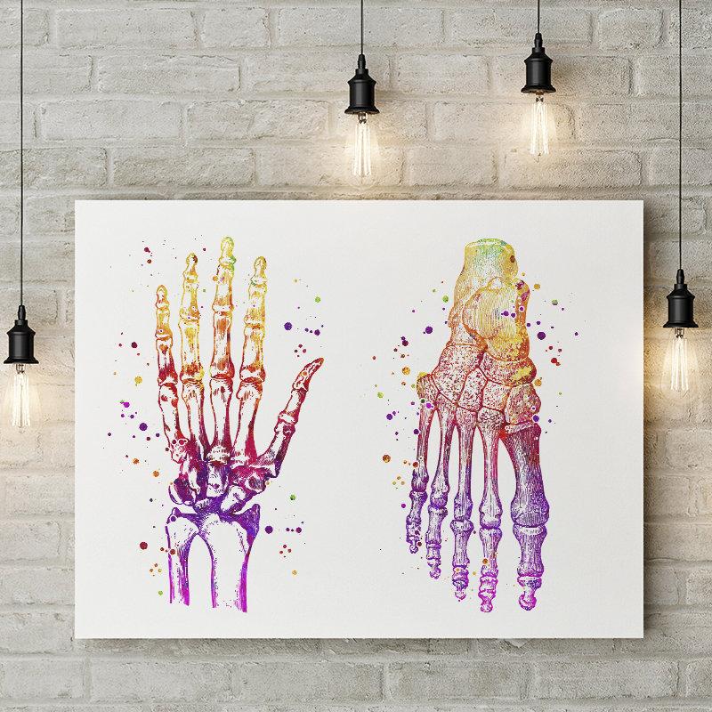 Human Hand and Foot Bones Watercolor Art Print