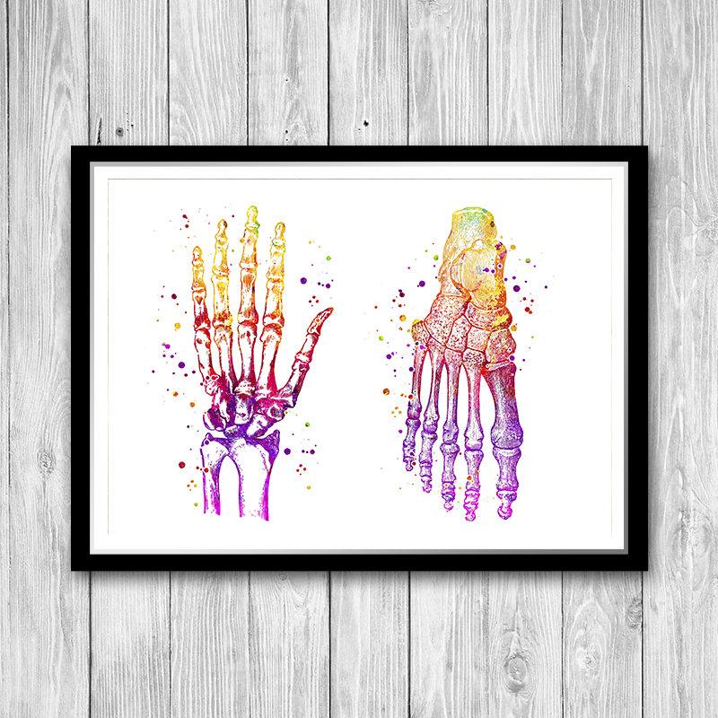 Human Hand and Foot Bones Watercolor Art Print